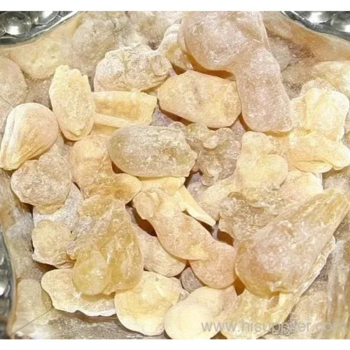 Salai Gum